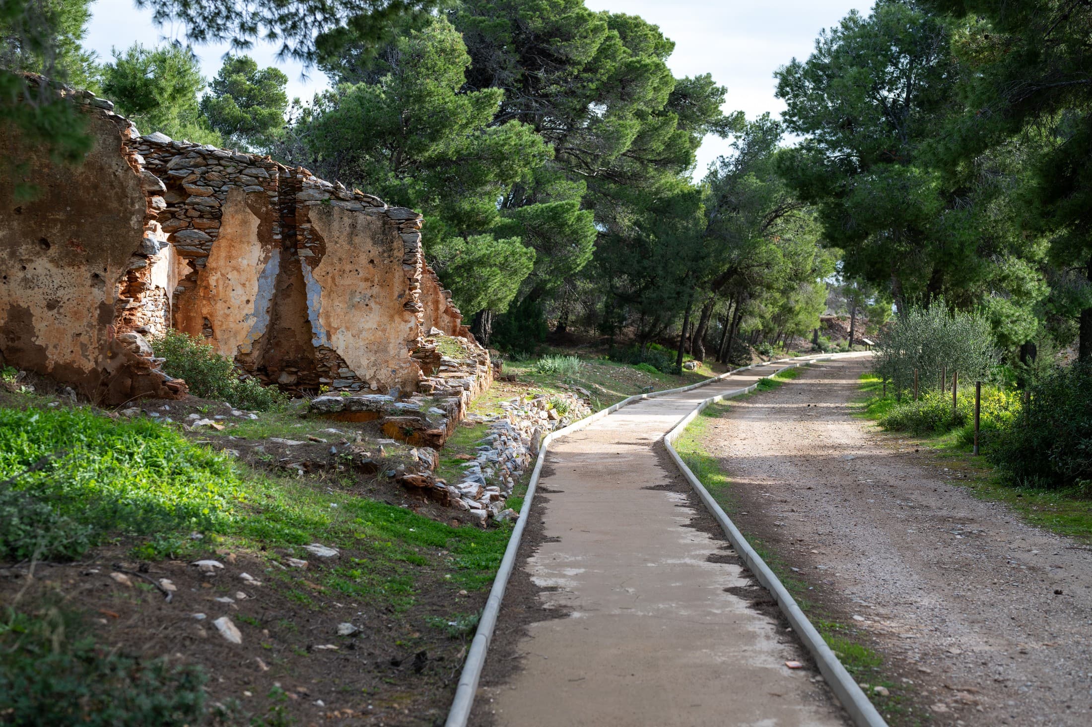 Alt text not provided