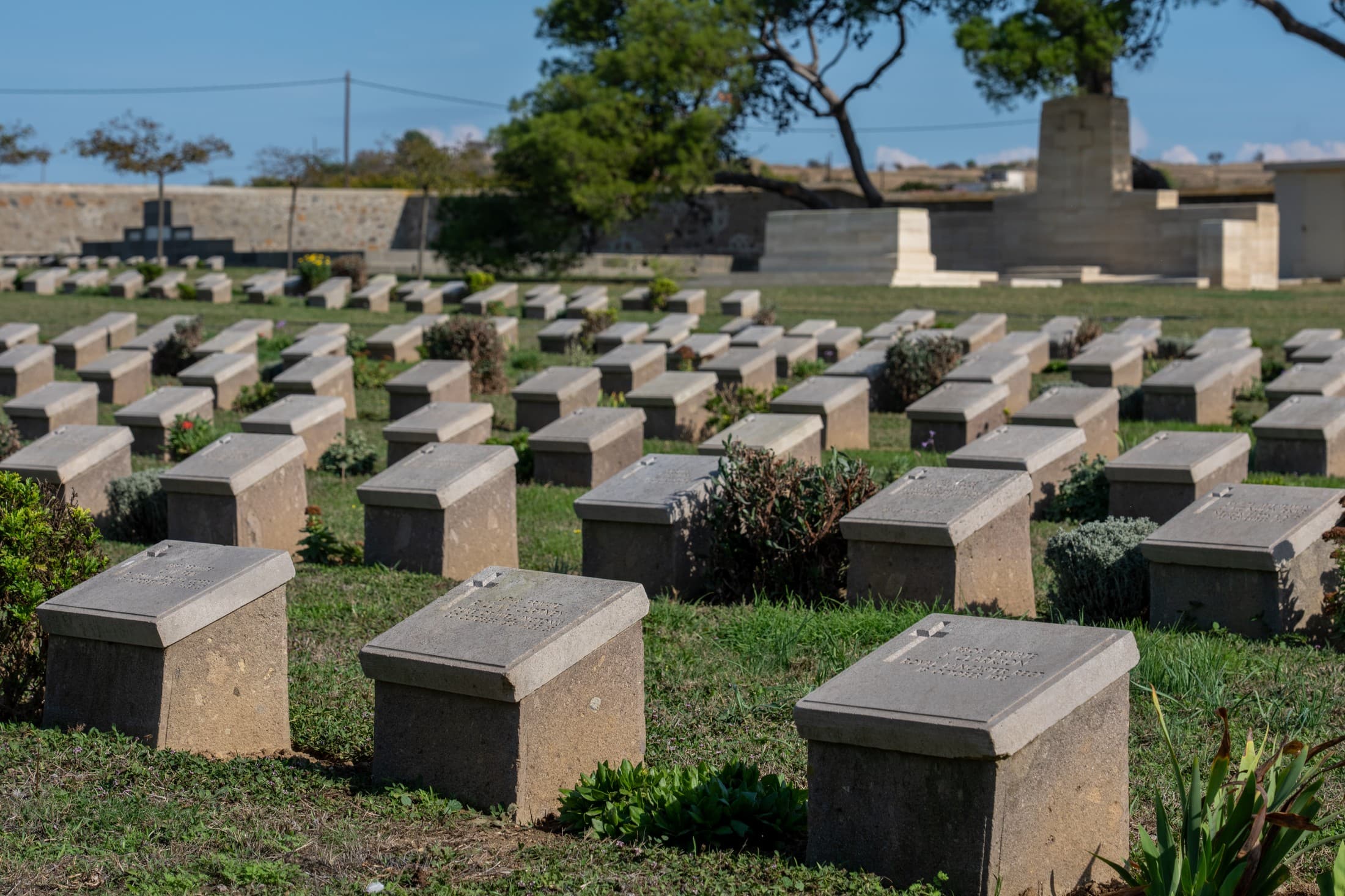 Alt text not provided