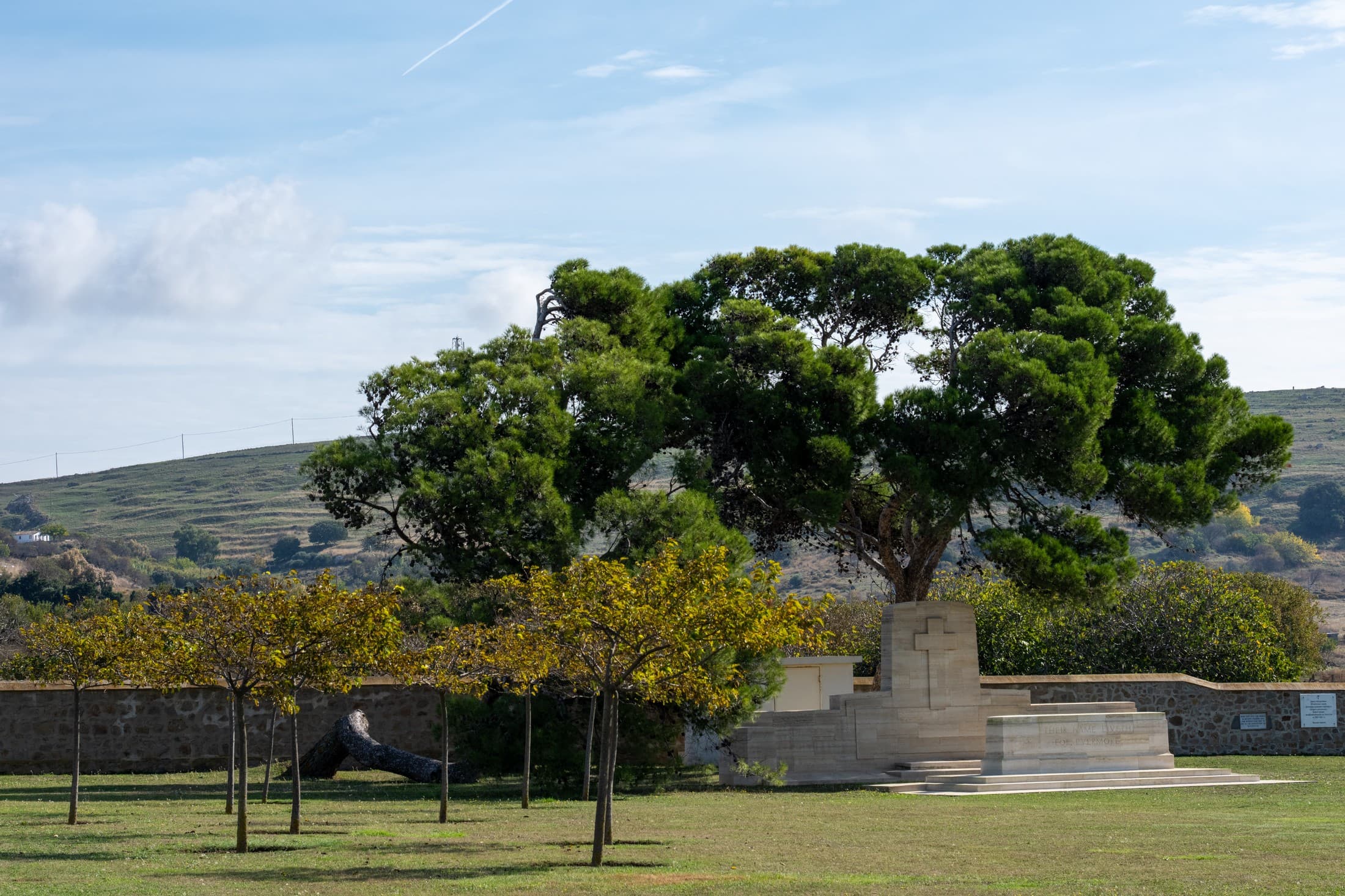 Alt text not provided