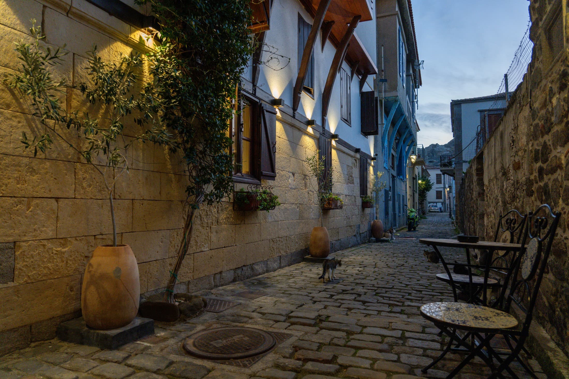 Alt text not provided