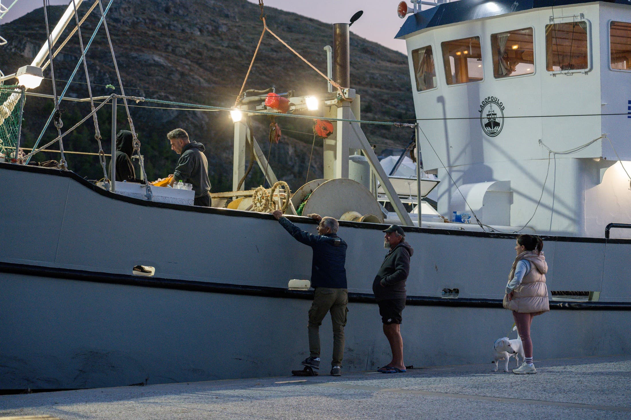 Alt text not provided