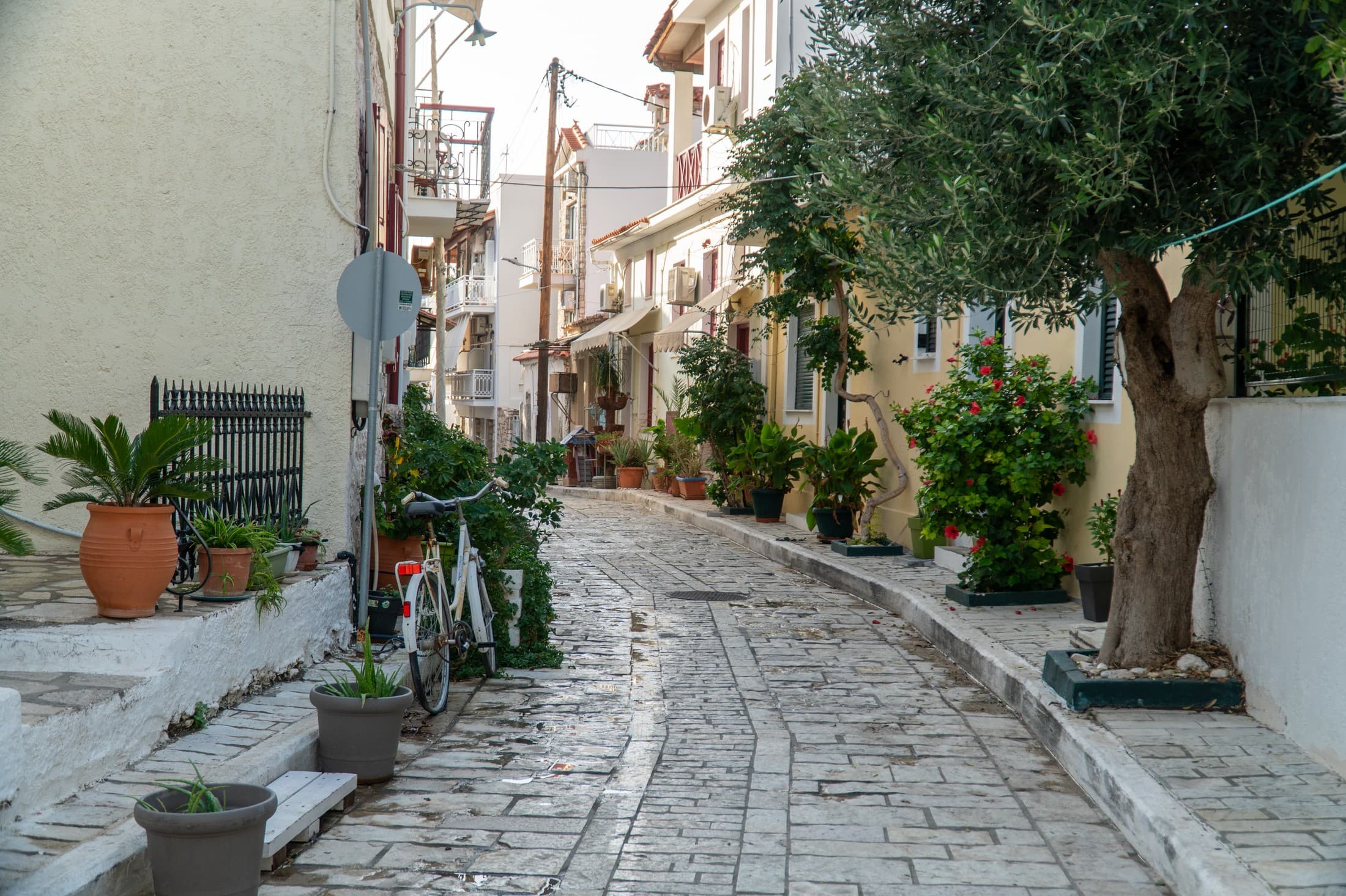 Alt text not provided