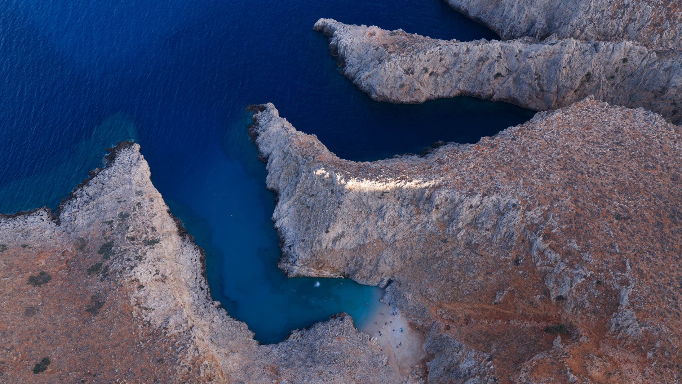 Alt text not provided