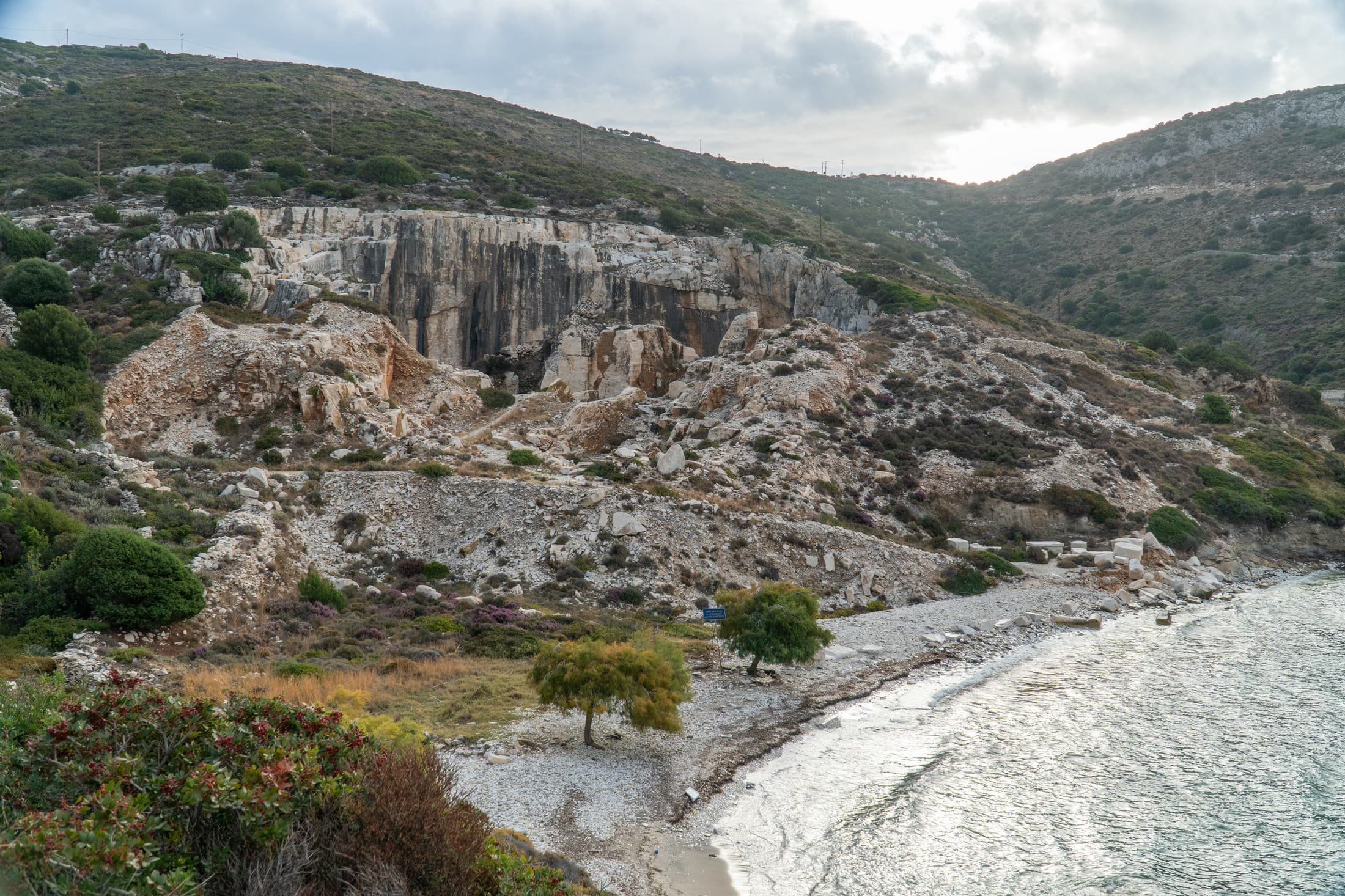 Alt text not provided