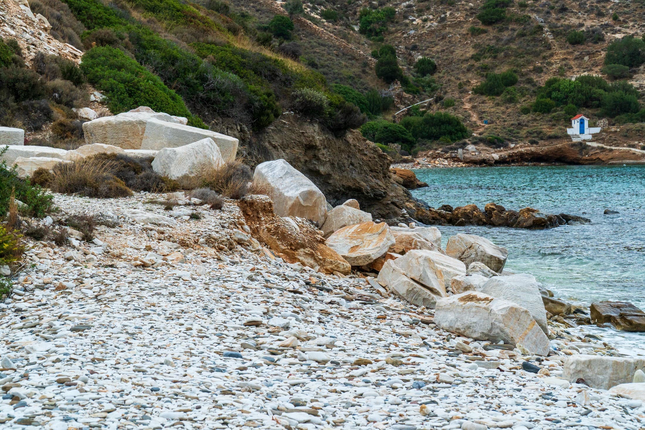 Alt text not provided