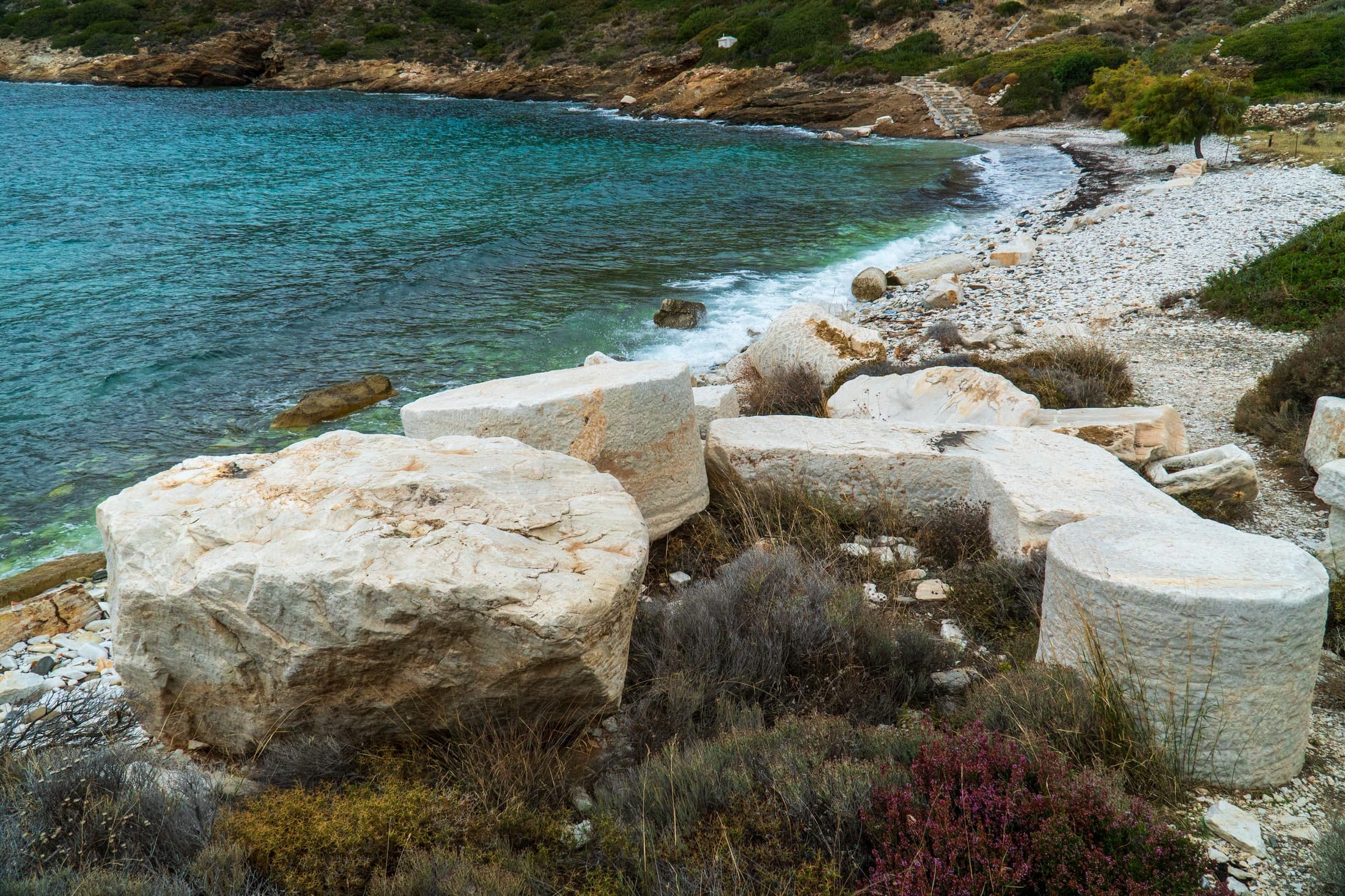 Alt text not provided