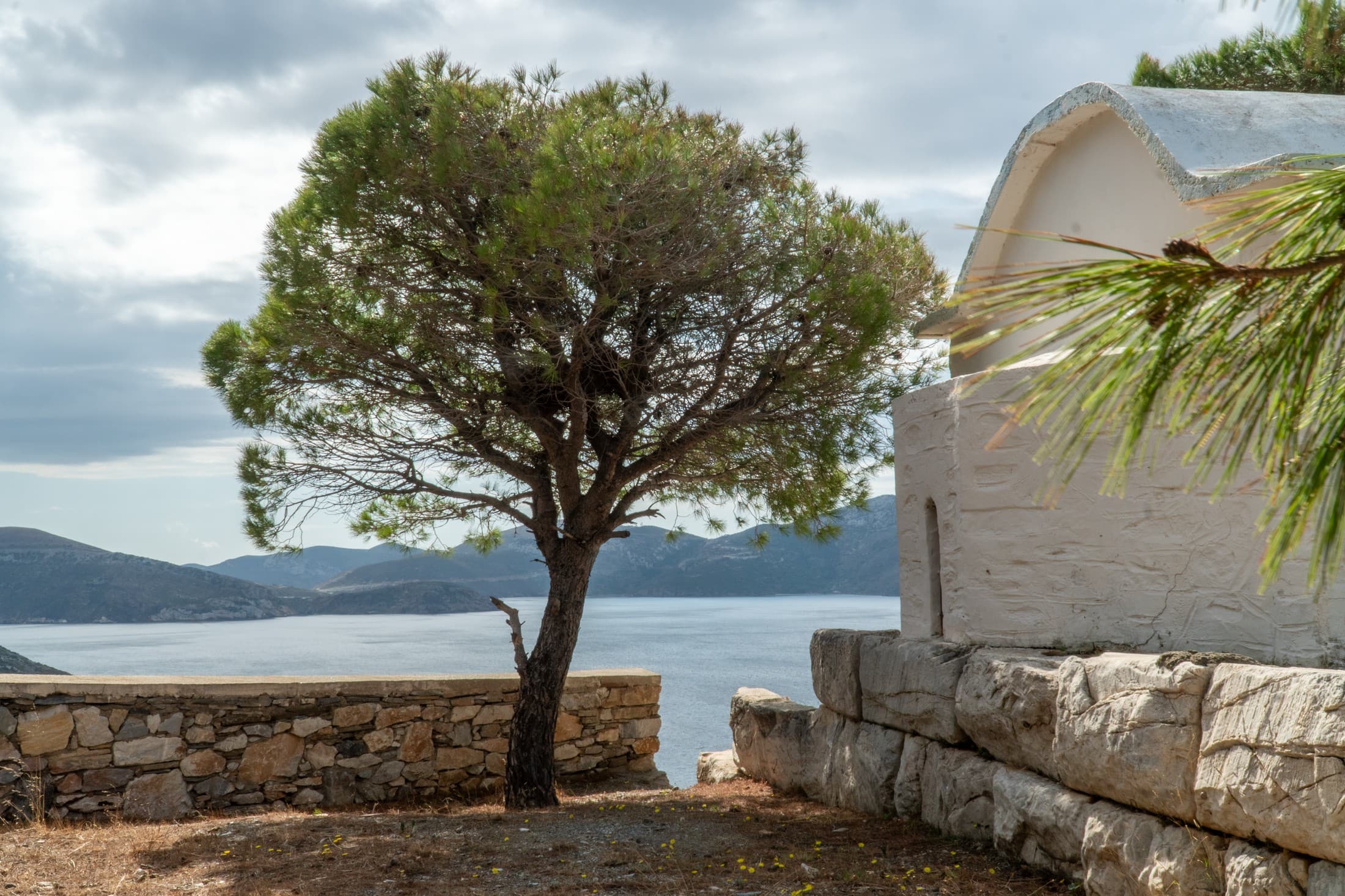 Alt text not provided