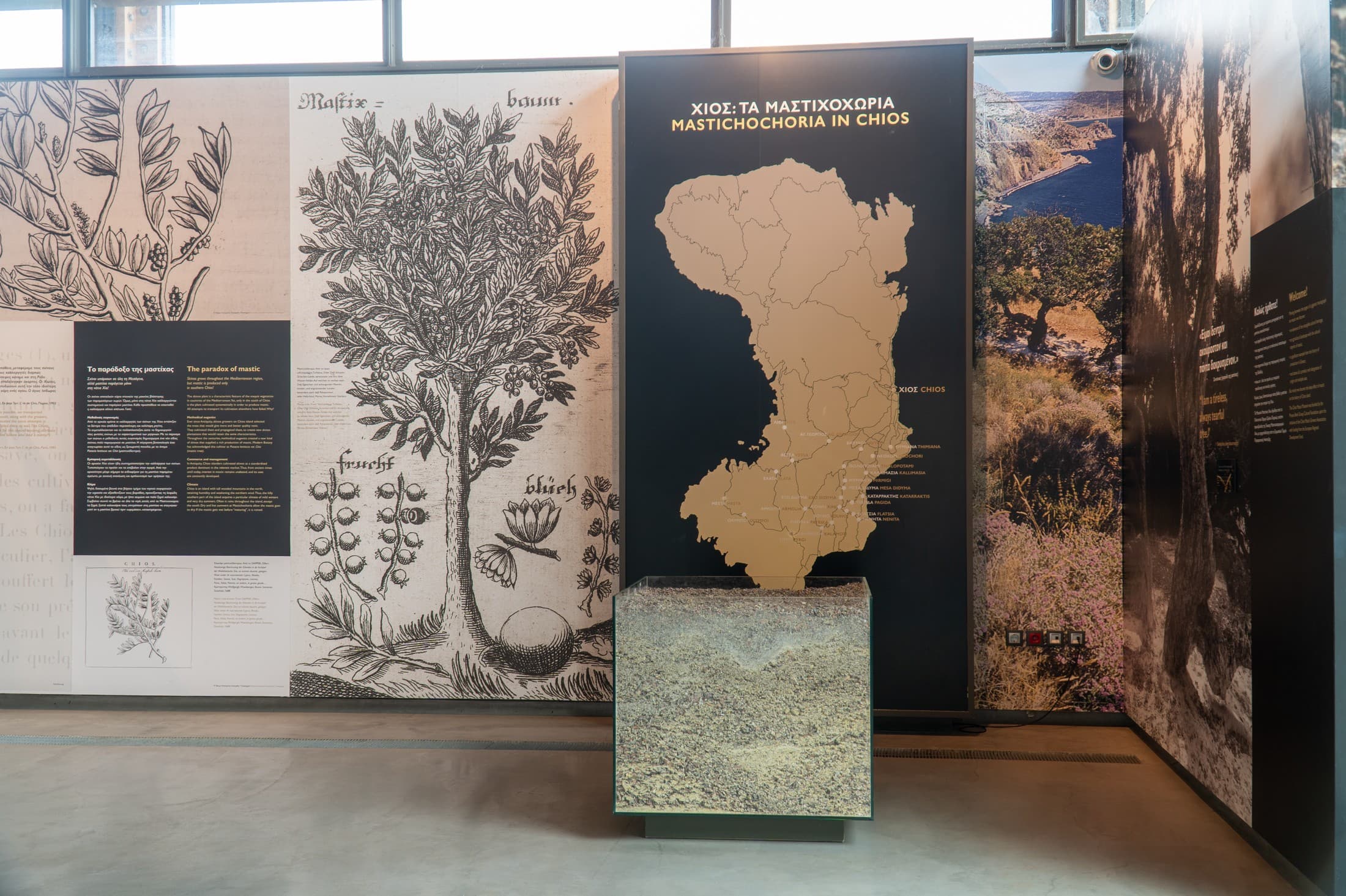 Alt text not provided