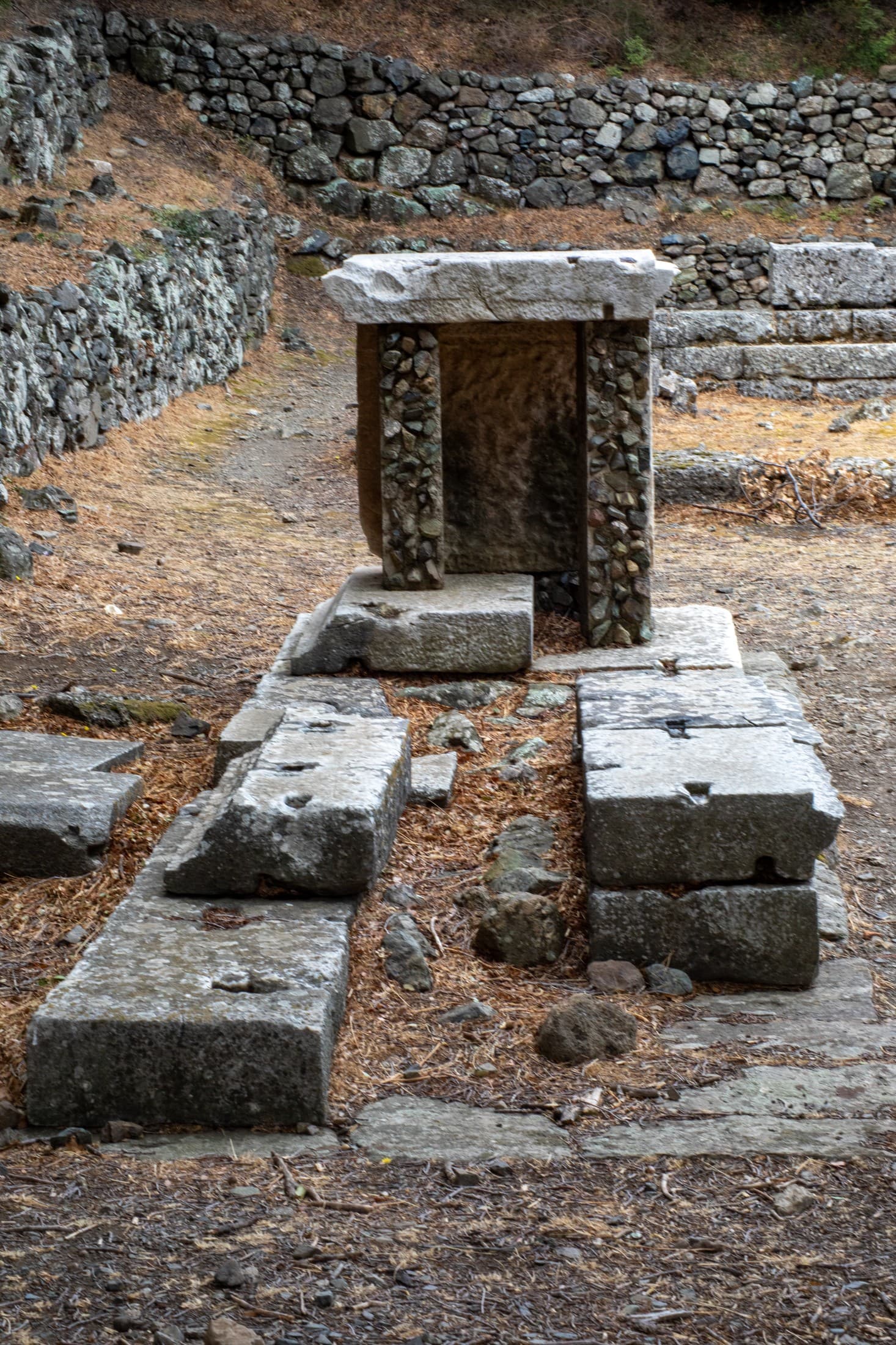 Alt text not provided