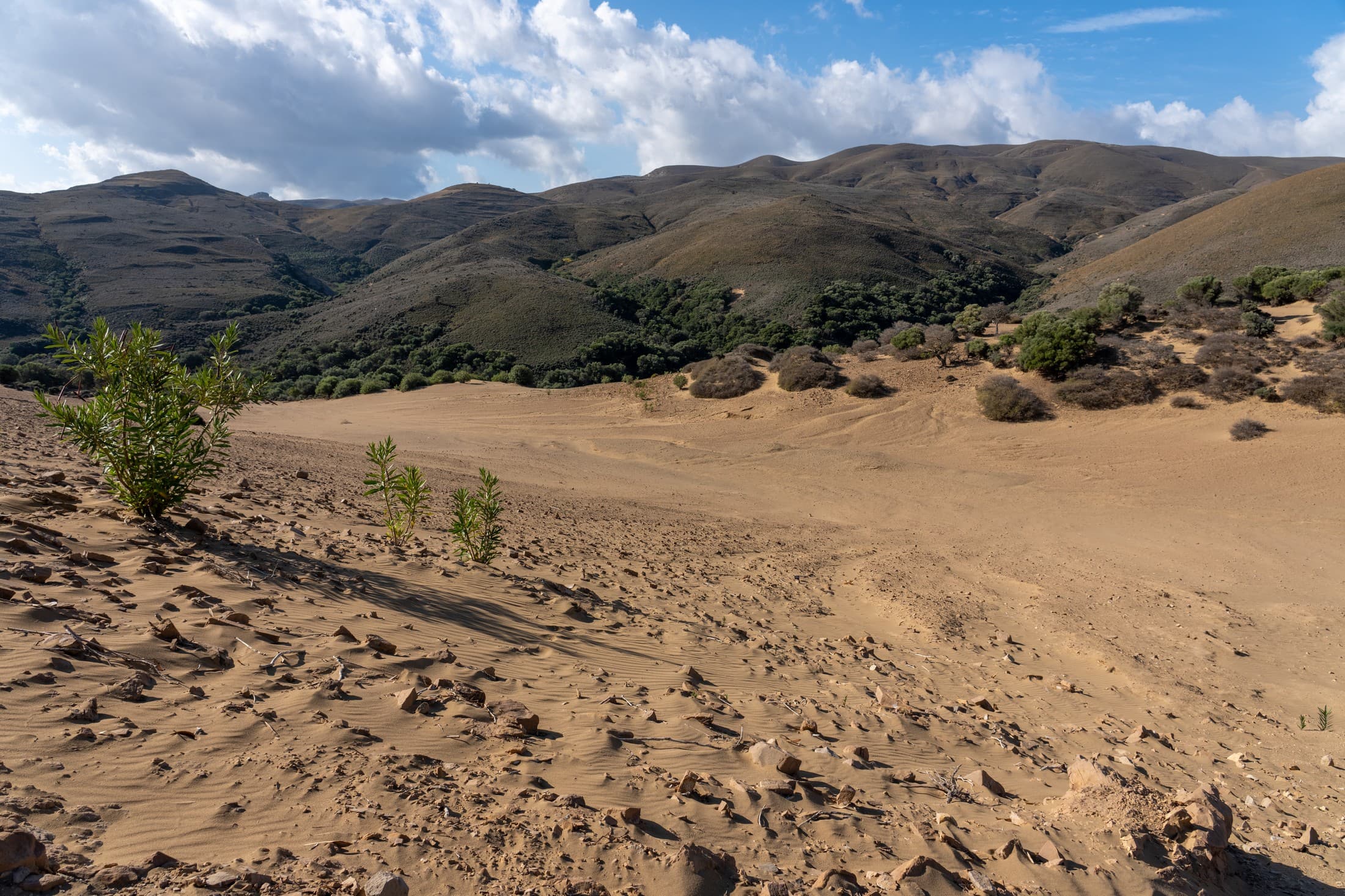 Alt text not provided