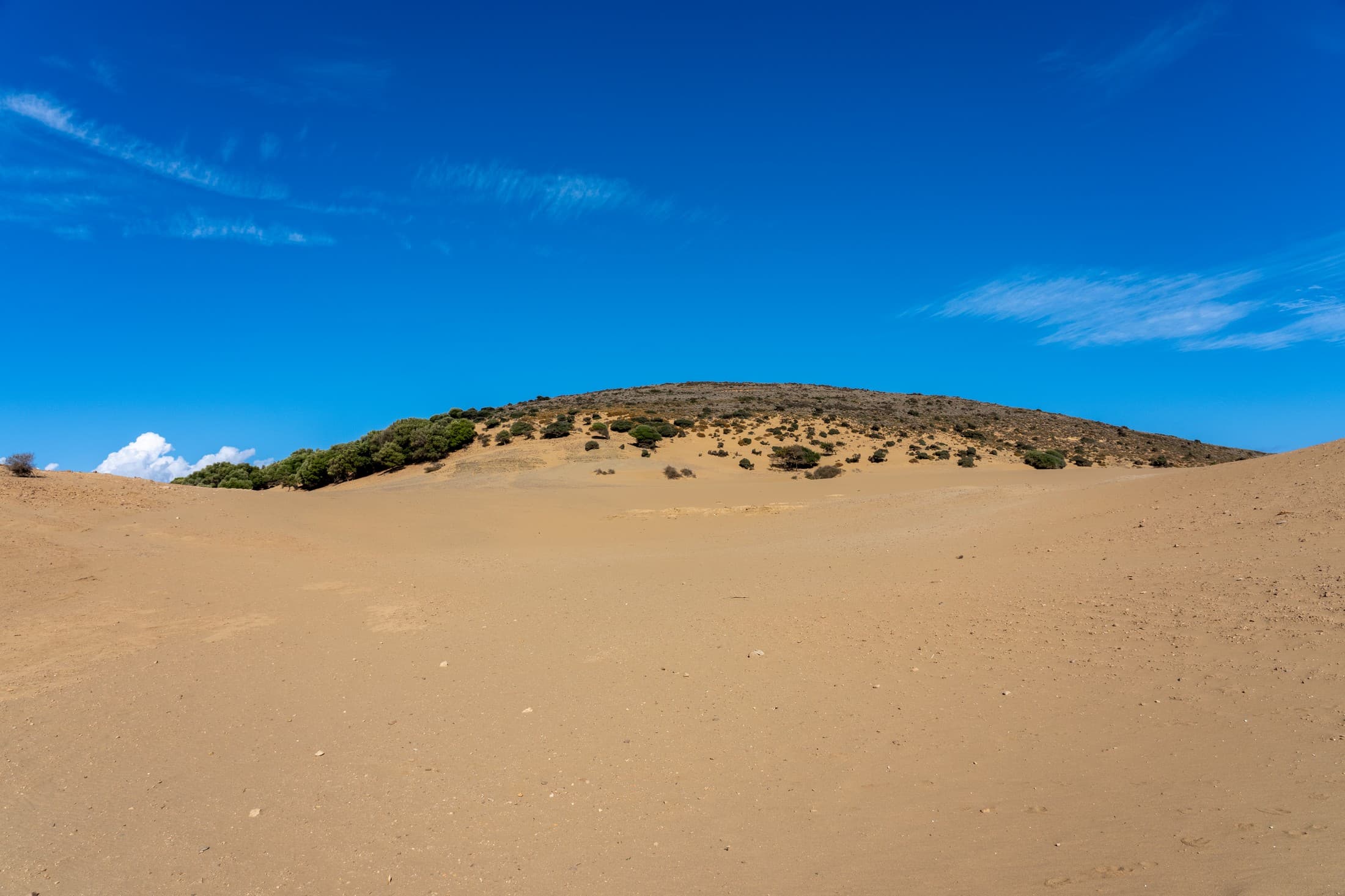 Alt text not provided