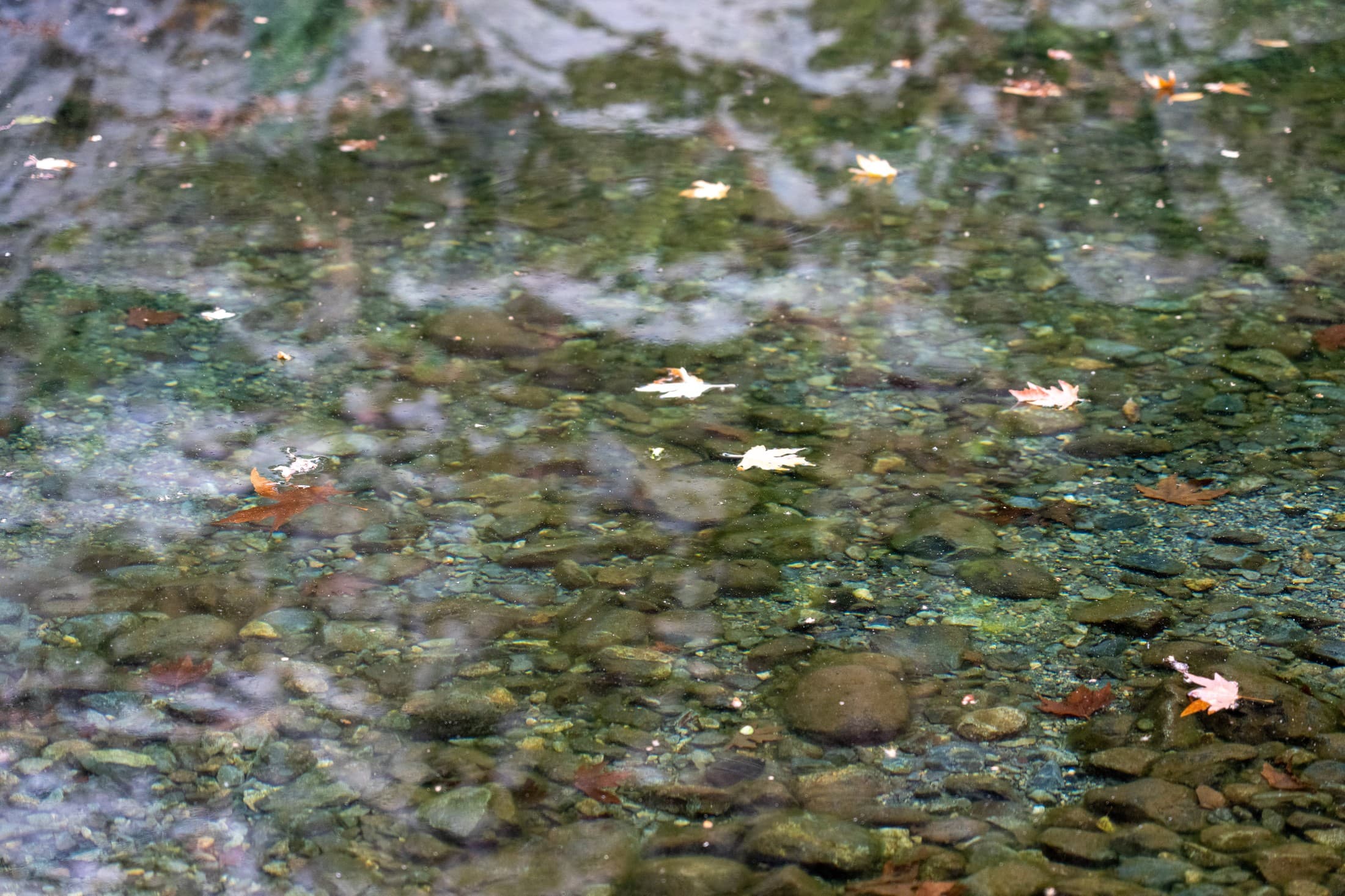 Alt text not provided