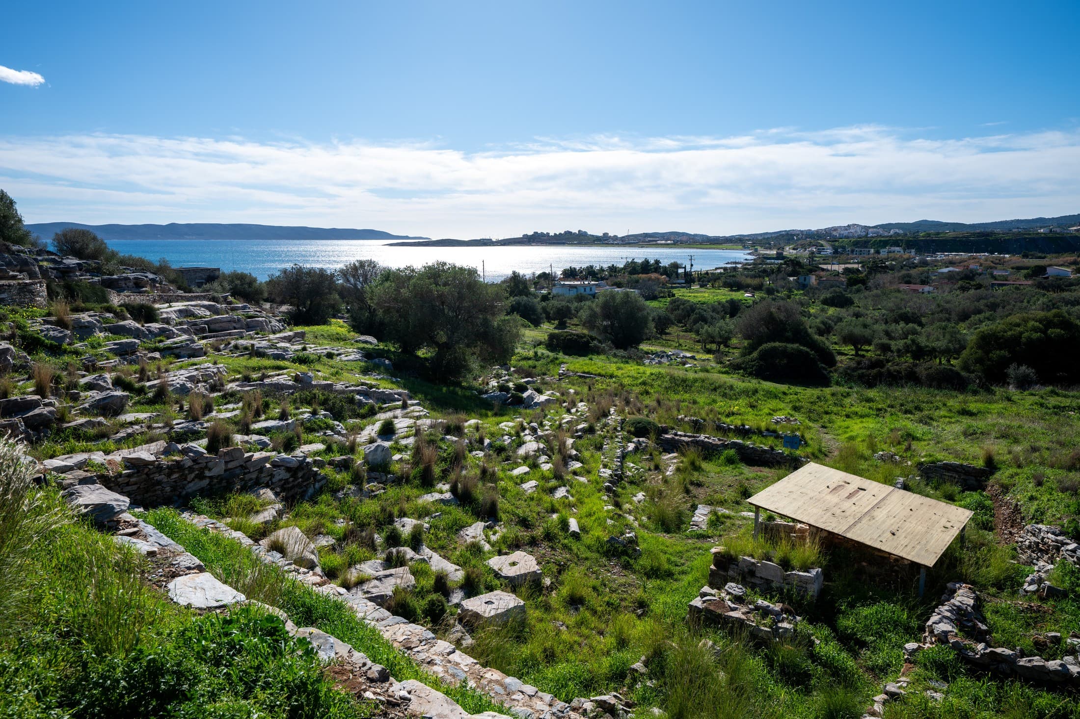 Alt text not provided