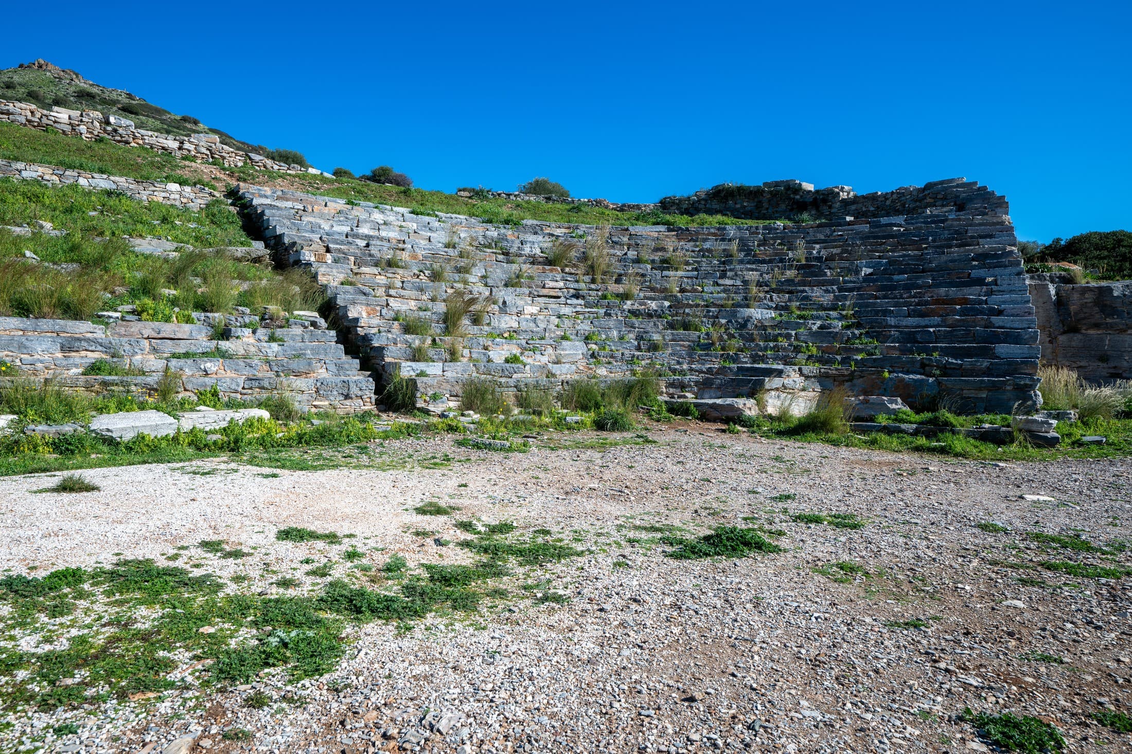 Alt text not provided