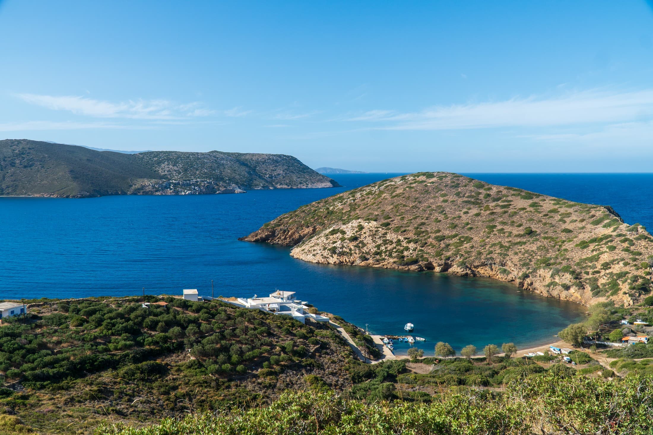 Alt text not provided