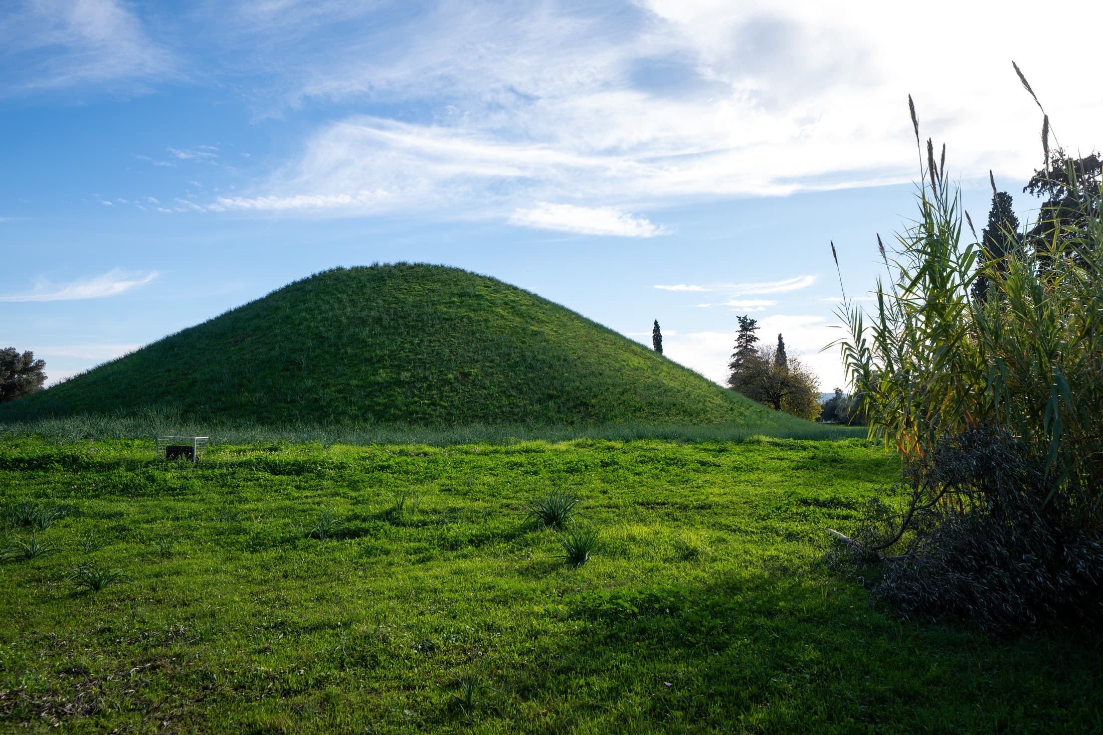 Alt text not provided