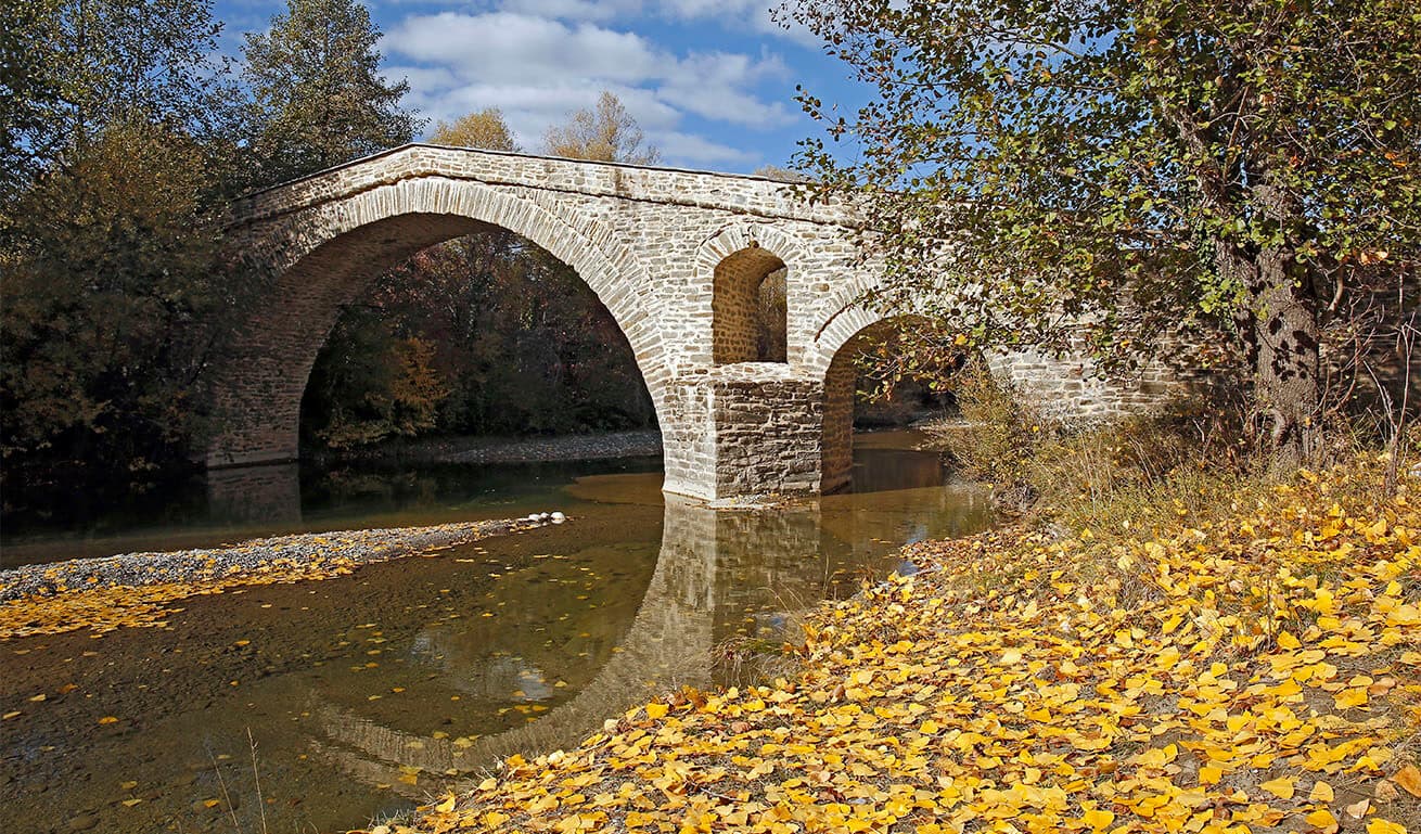 Alt text not provided