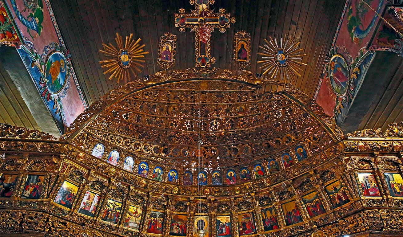 Alt text not provided