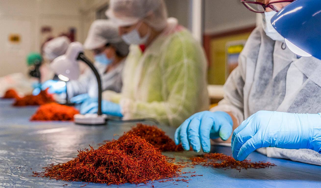 Alt text not provided