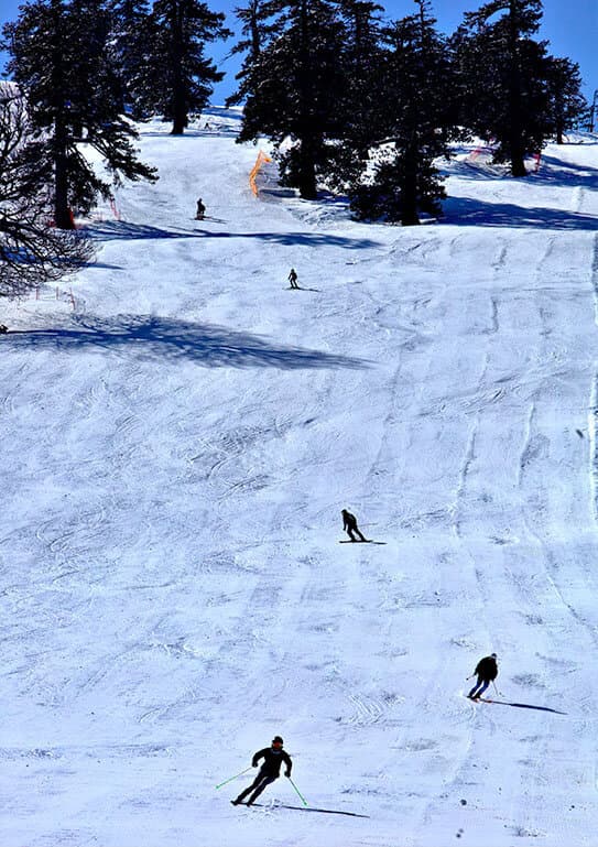 Alt text not provided