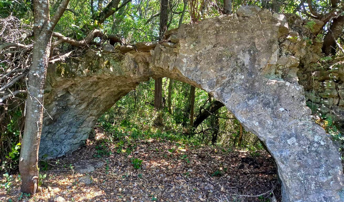 Alt text not provided