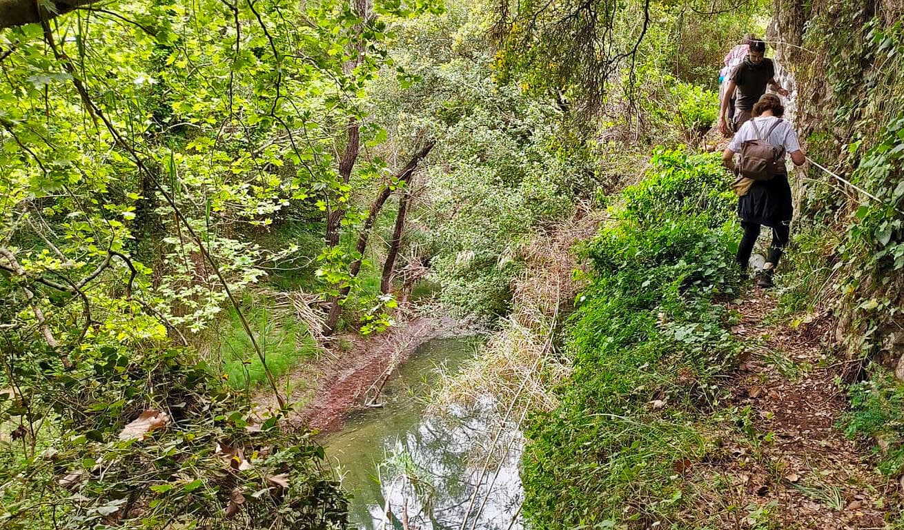 Alt text not provided