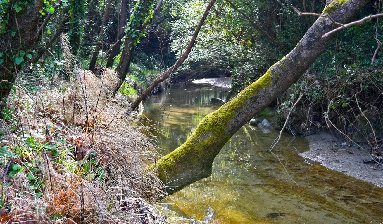 Alt text not provided