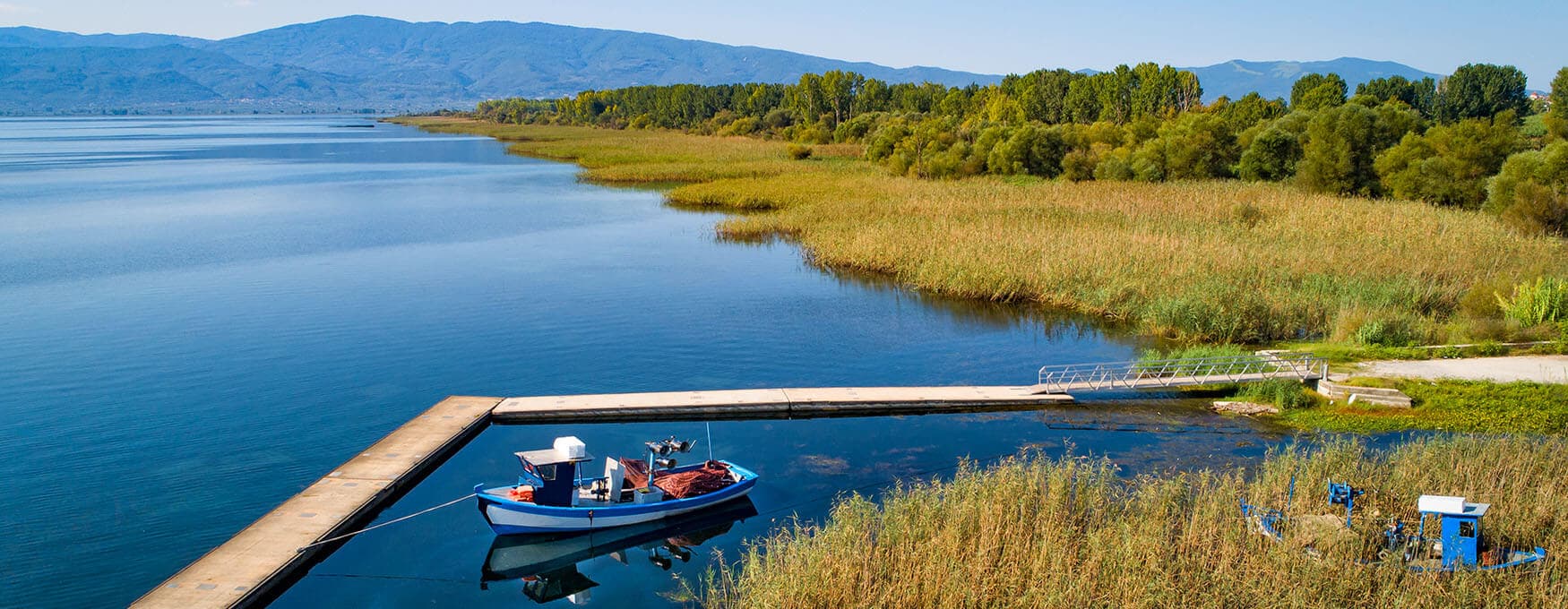 Alt text not provided