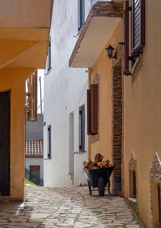 Alt text not provided