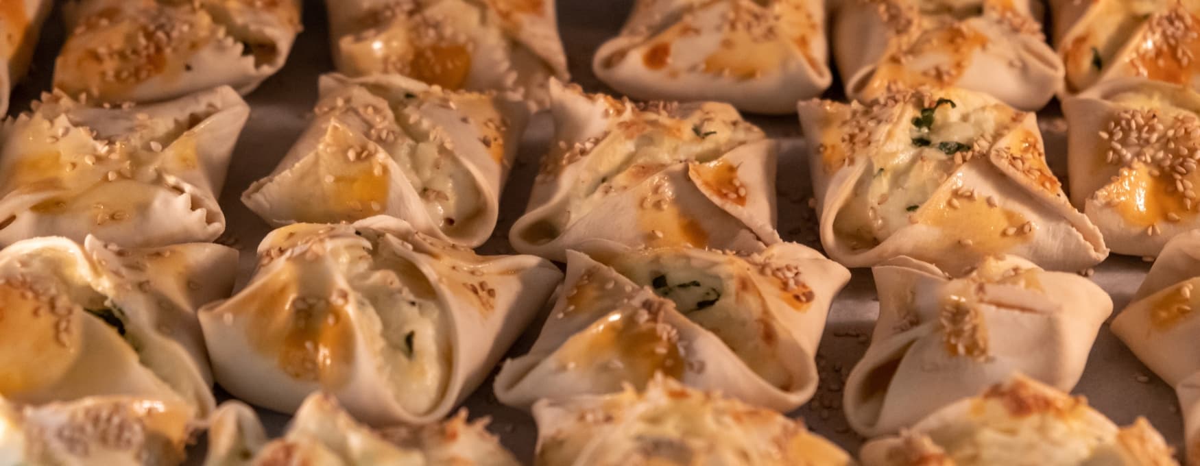 Alt text not provided