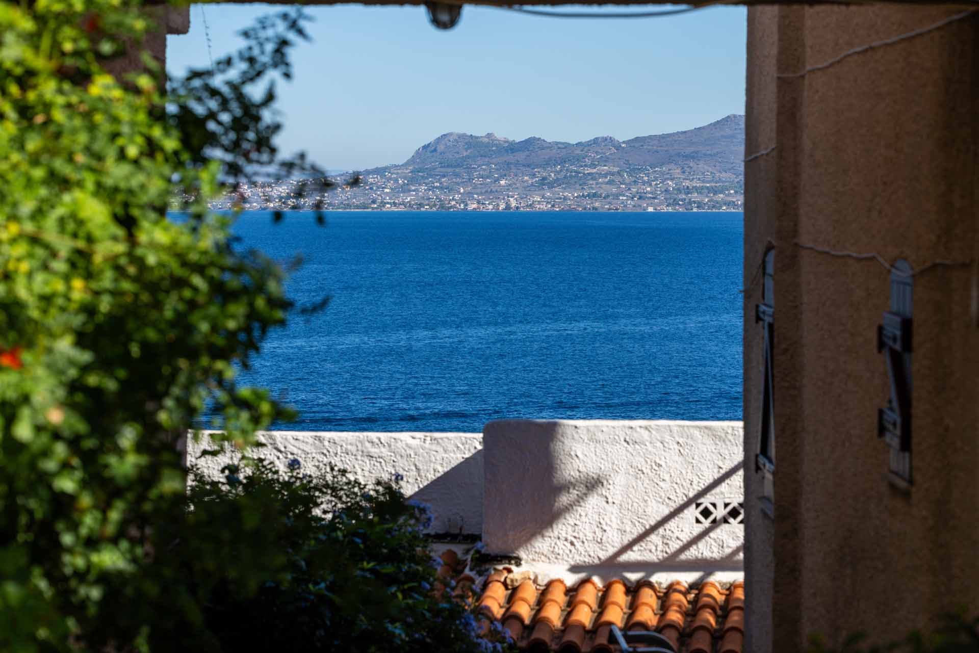 Alt text not provided