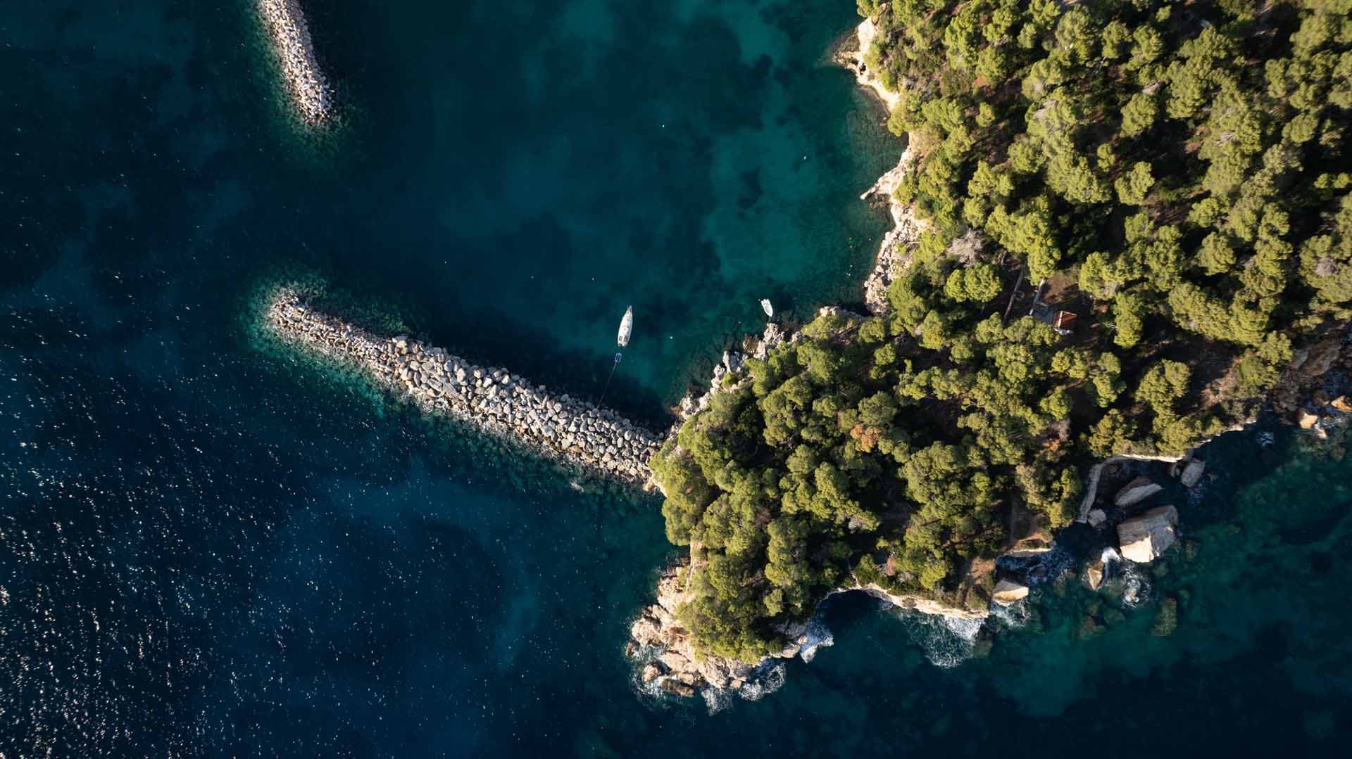 Alt text not provided