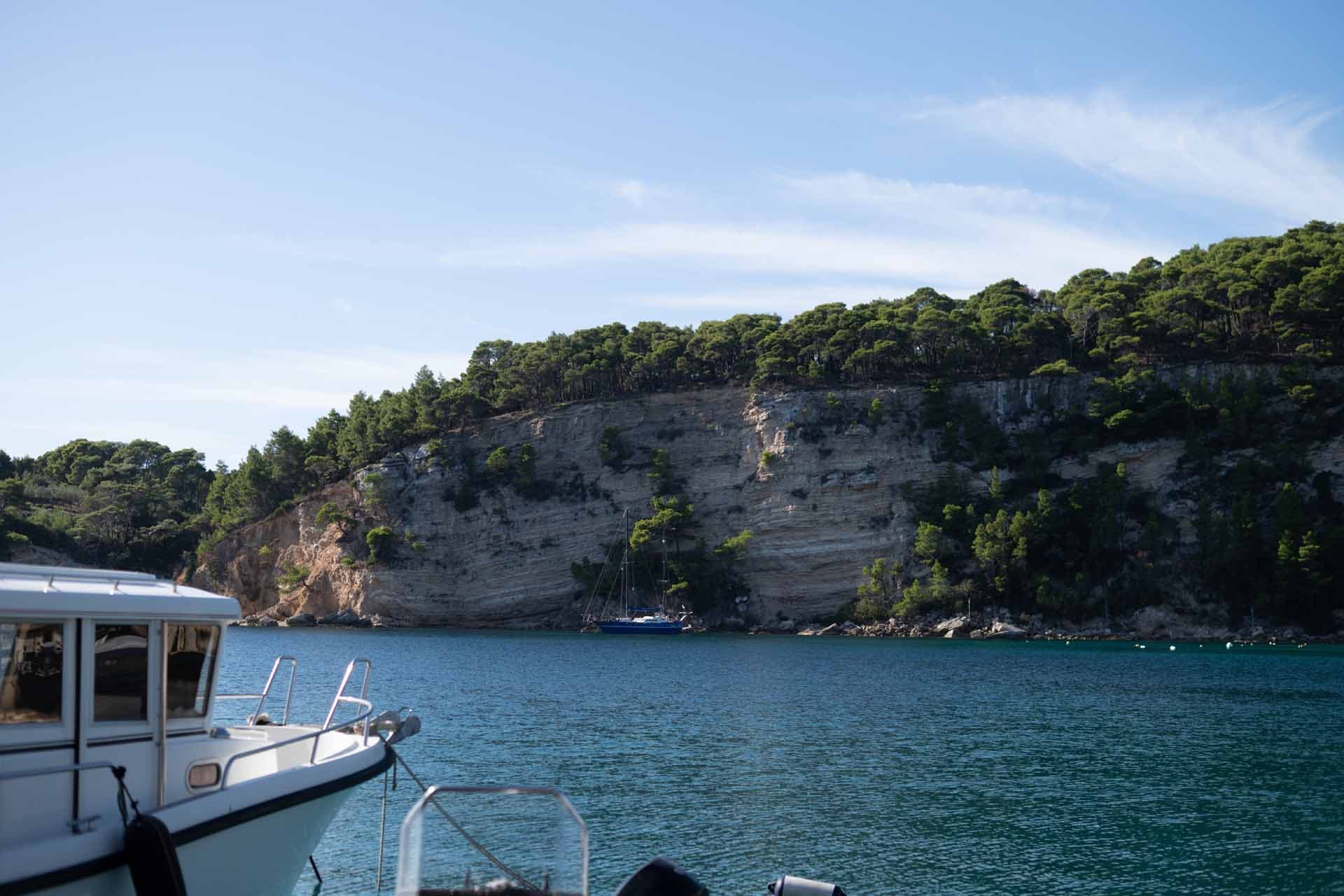 Alt text not provided