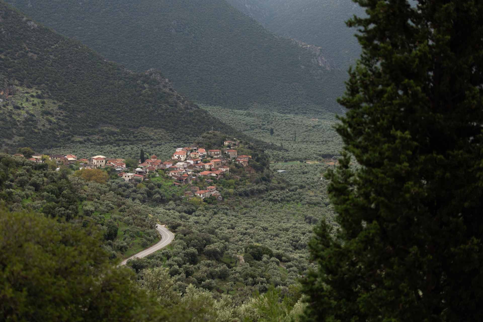 Alt text not provided