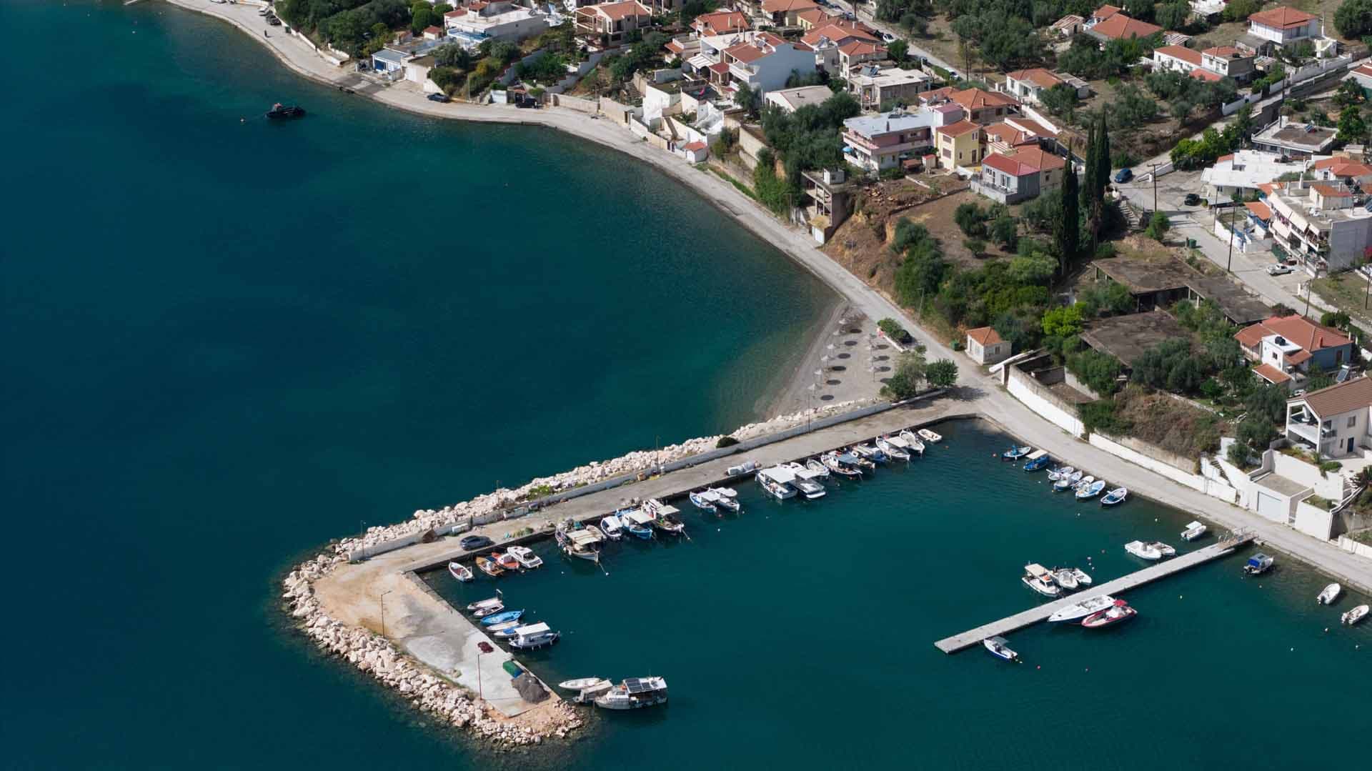 Alt text not provided