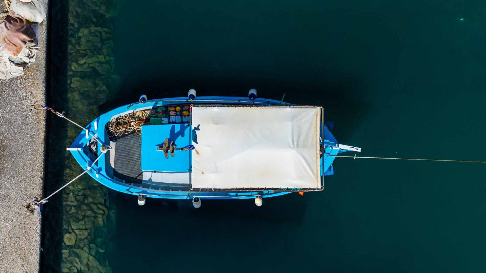 Alt text not provided