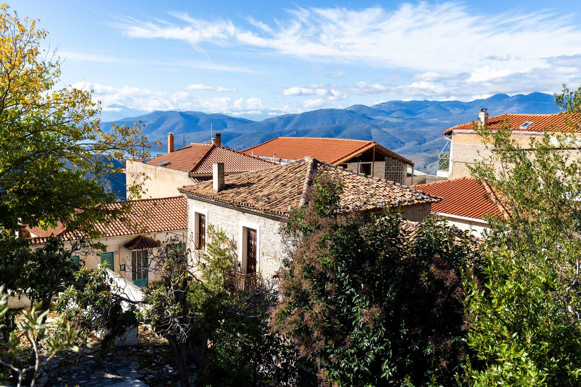 Alt text not provided