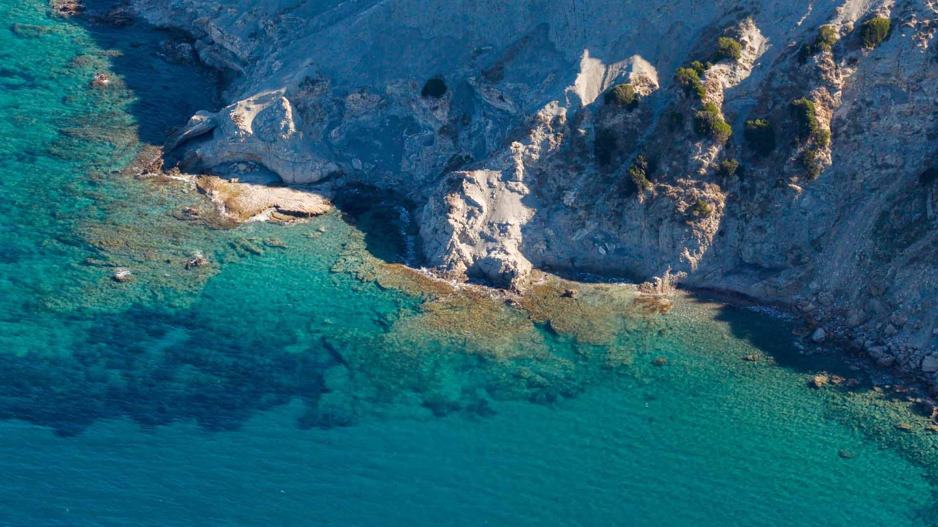 Alt text not provided