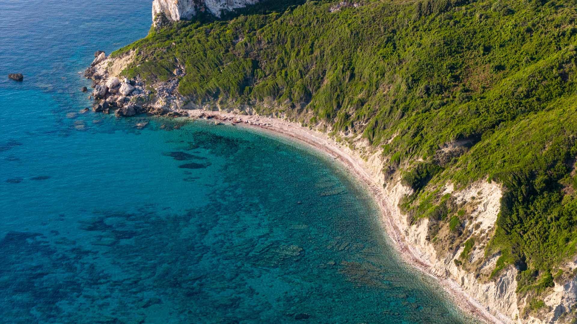 Alt text not provided