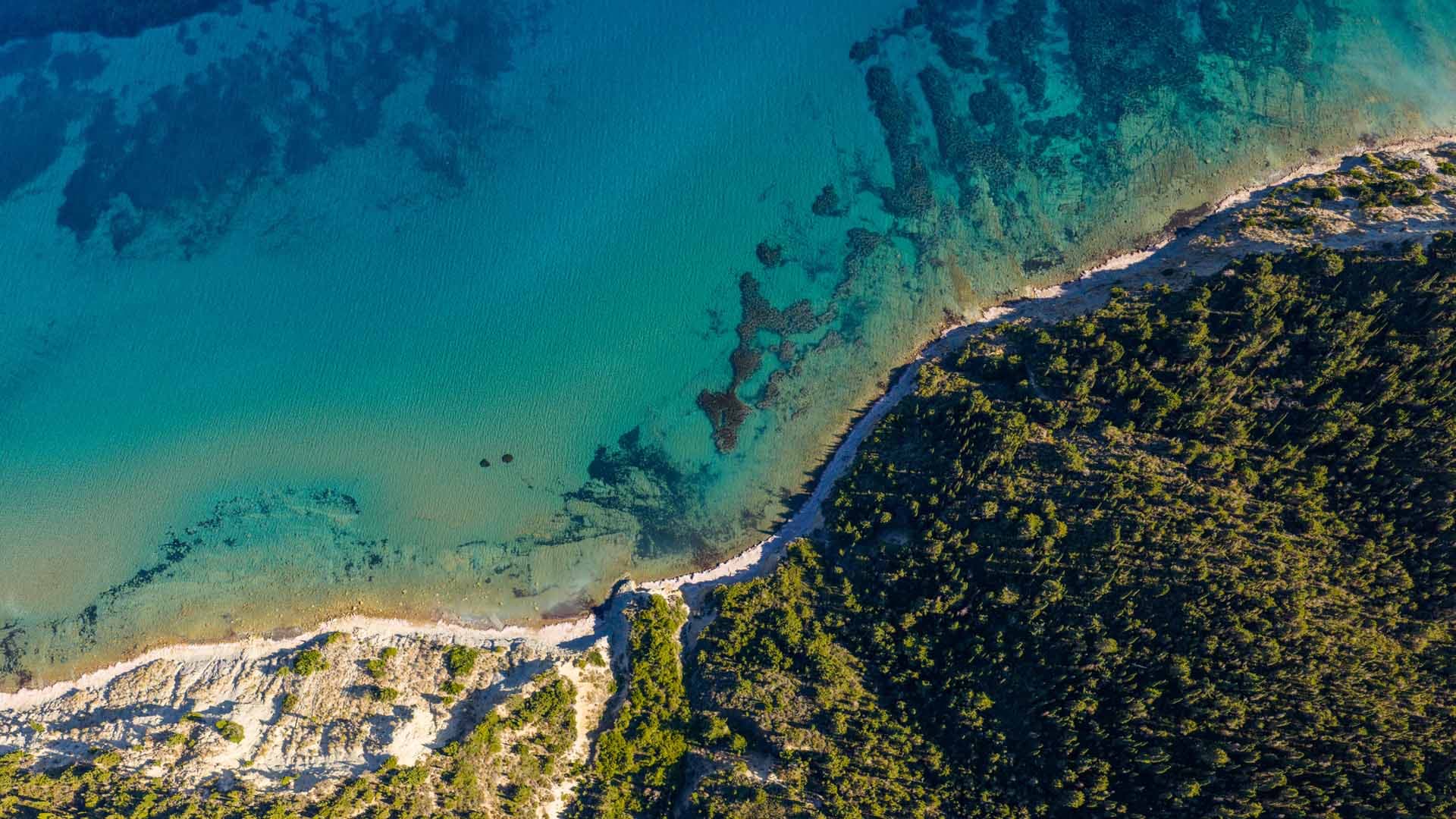 Alt text not provided