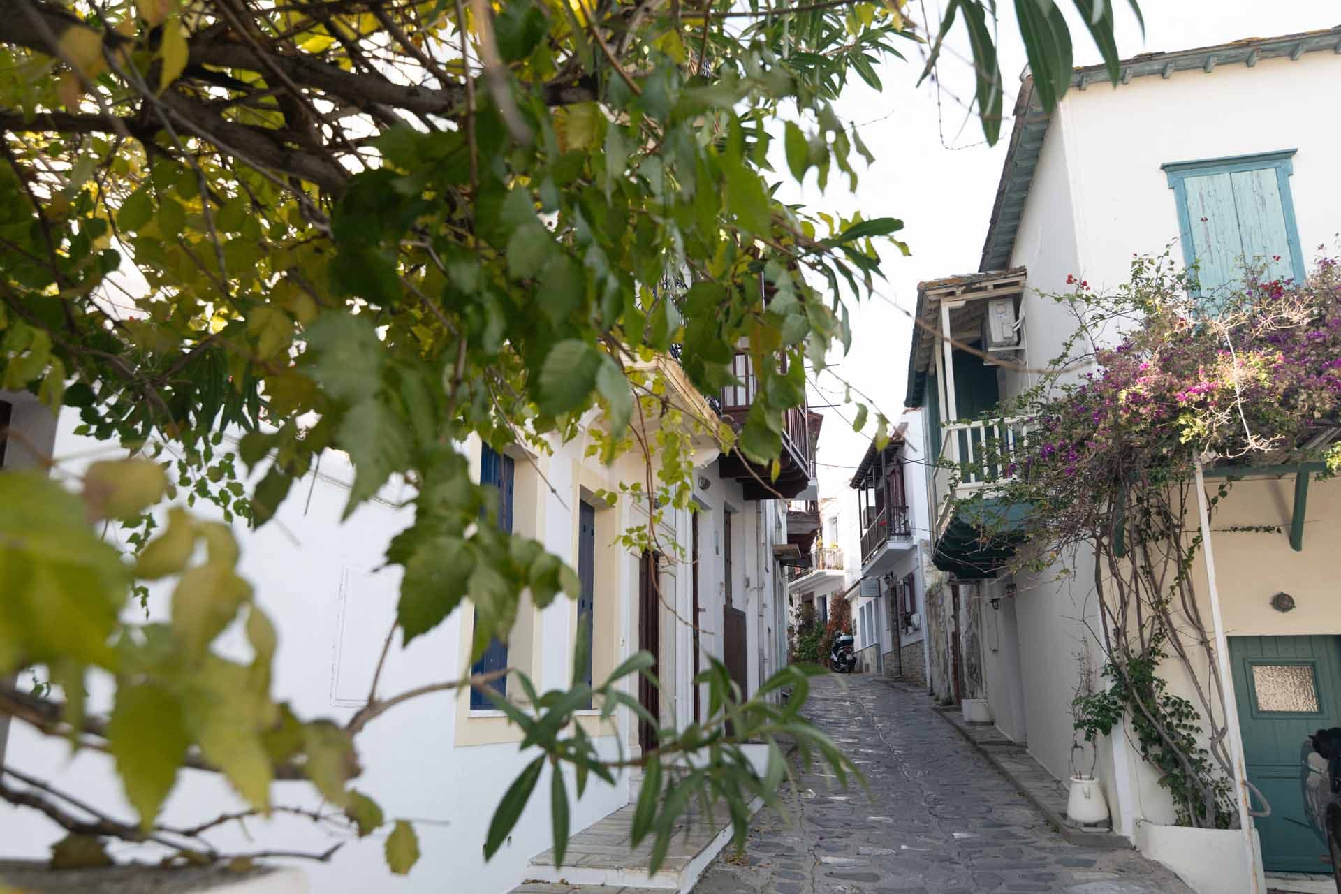 Alt text not provided