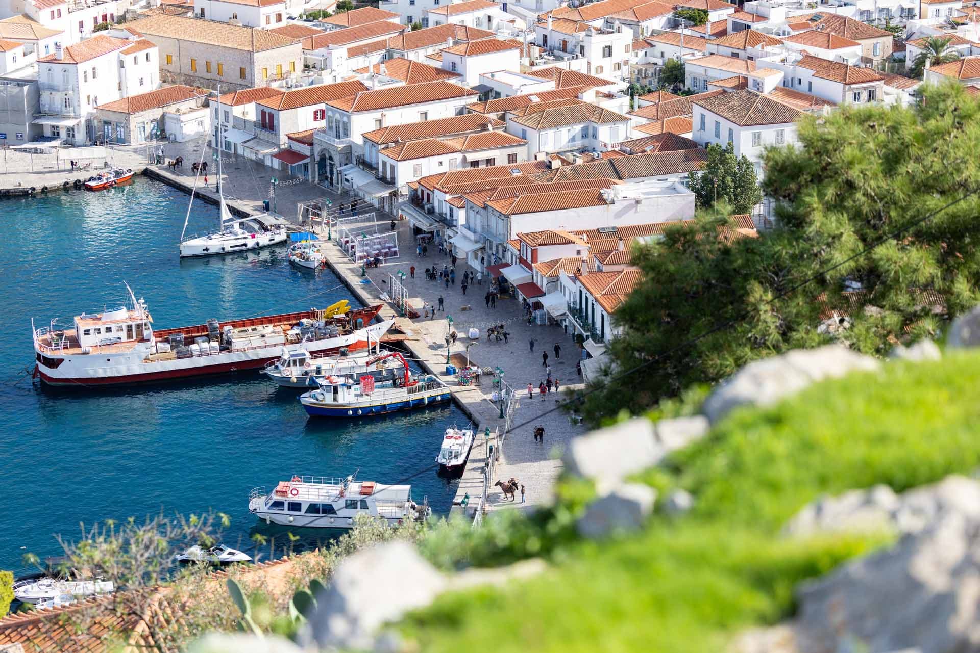 Alt text not provided