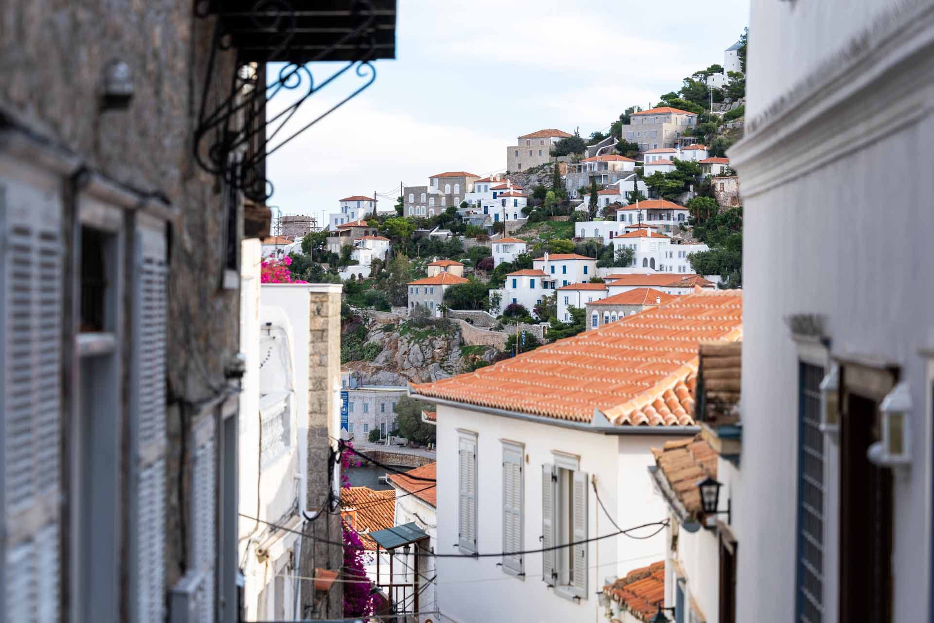 Alt text not provided