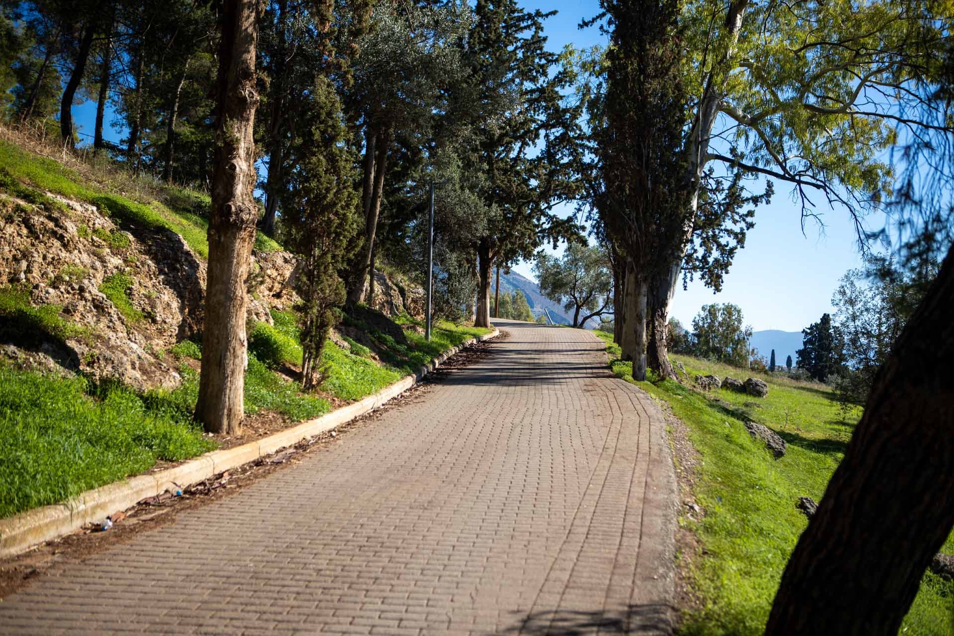 Alt text not provided