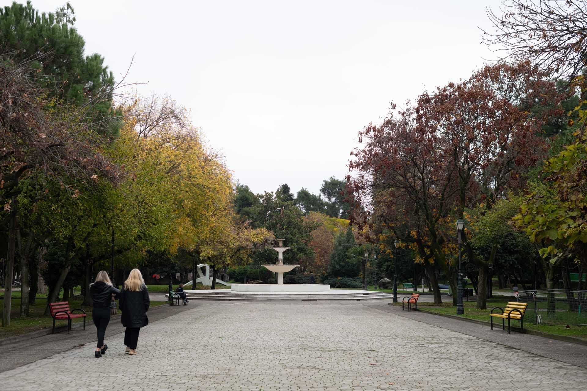 Alt text not provided