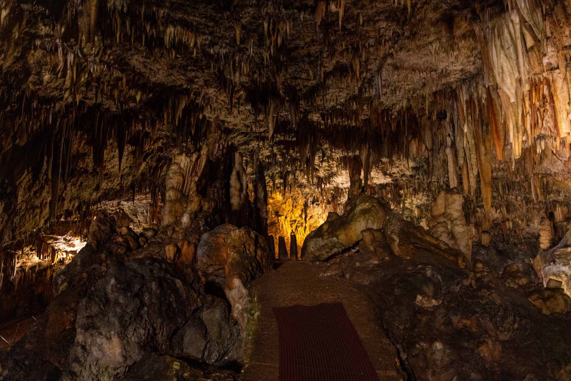 Alt text not provided