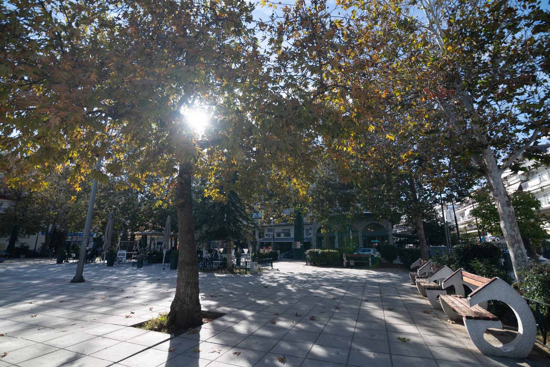 Alt text not provided