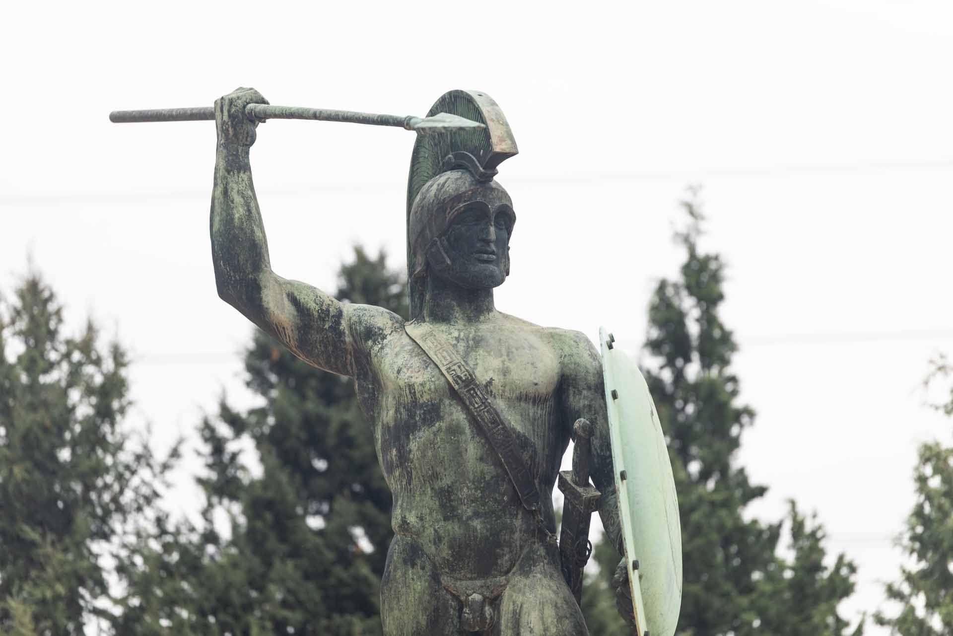 Alt text not provided