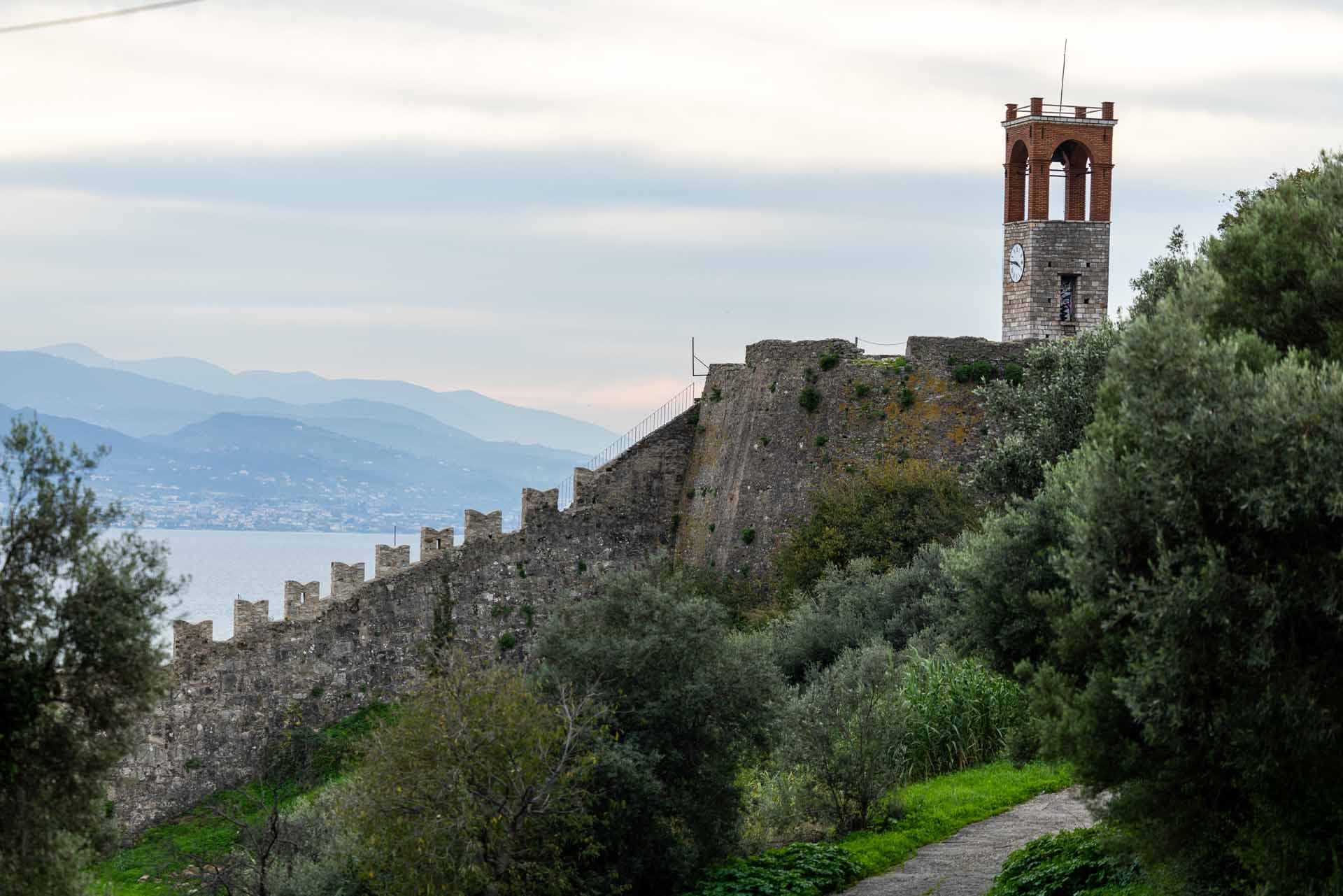 Alt text not provided