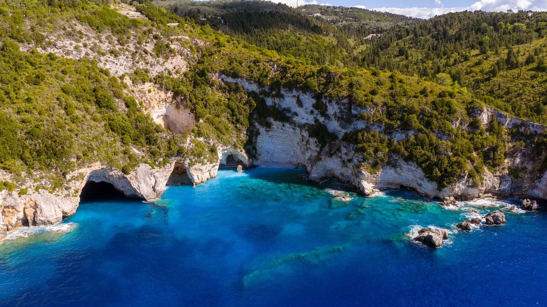 Alt text not provided